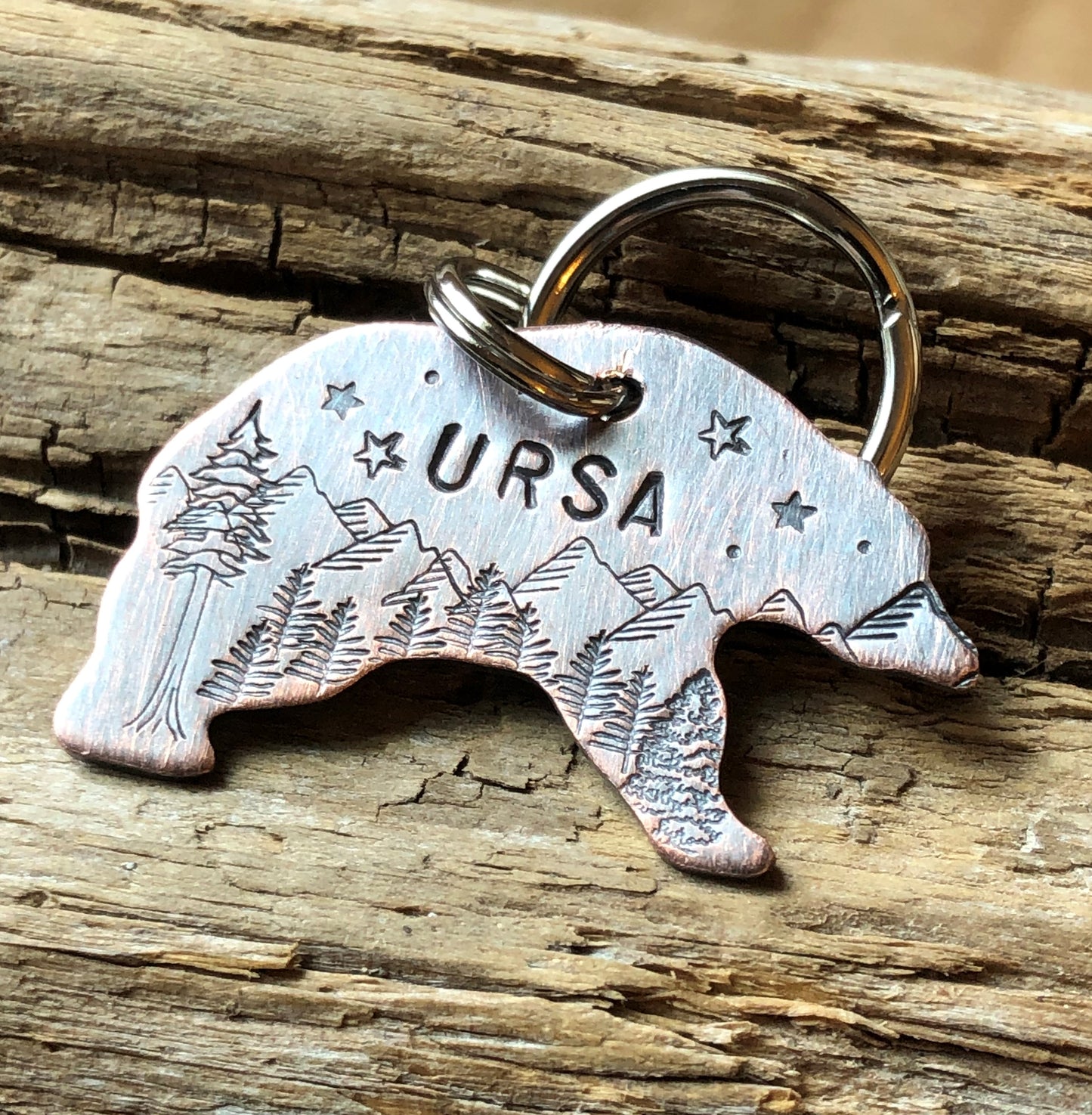 Ursa
