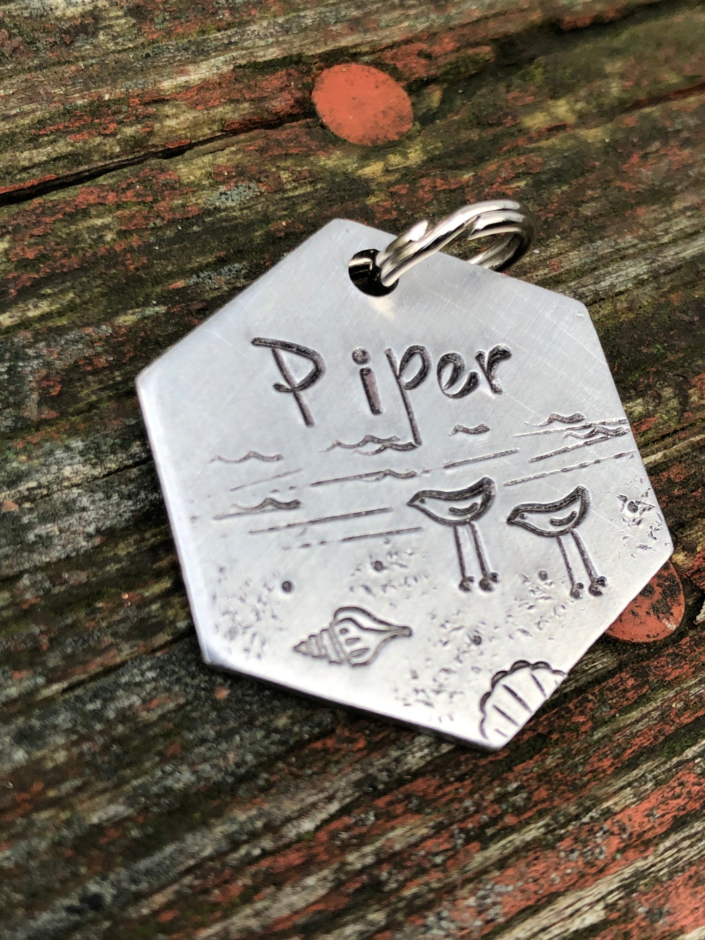 Piper