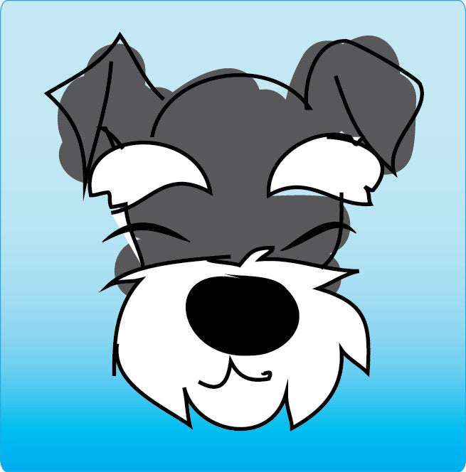 Split Ring Plier - Plier to Attach Dog Tags - Pliers for Split Rings