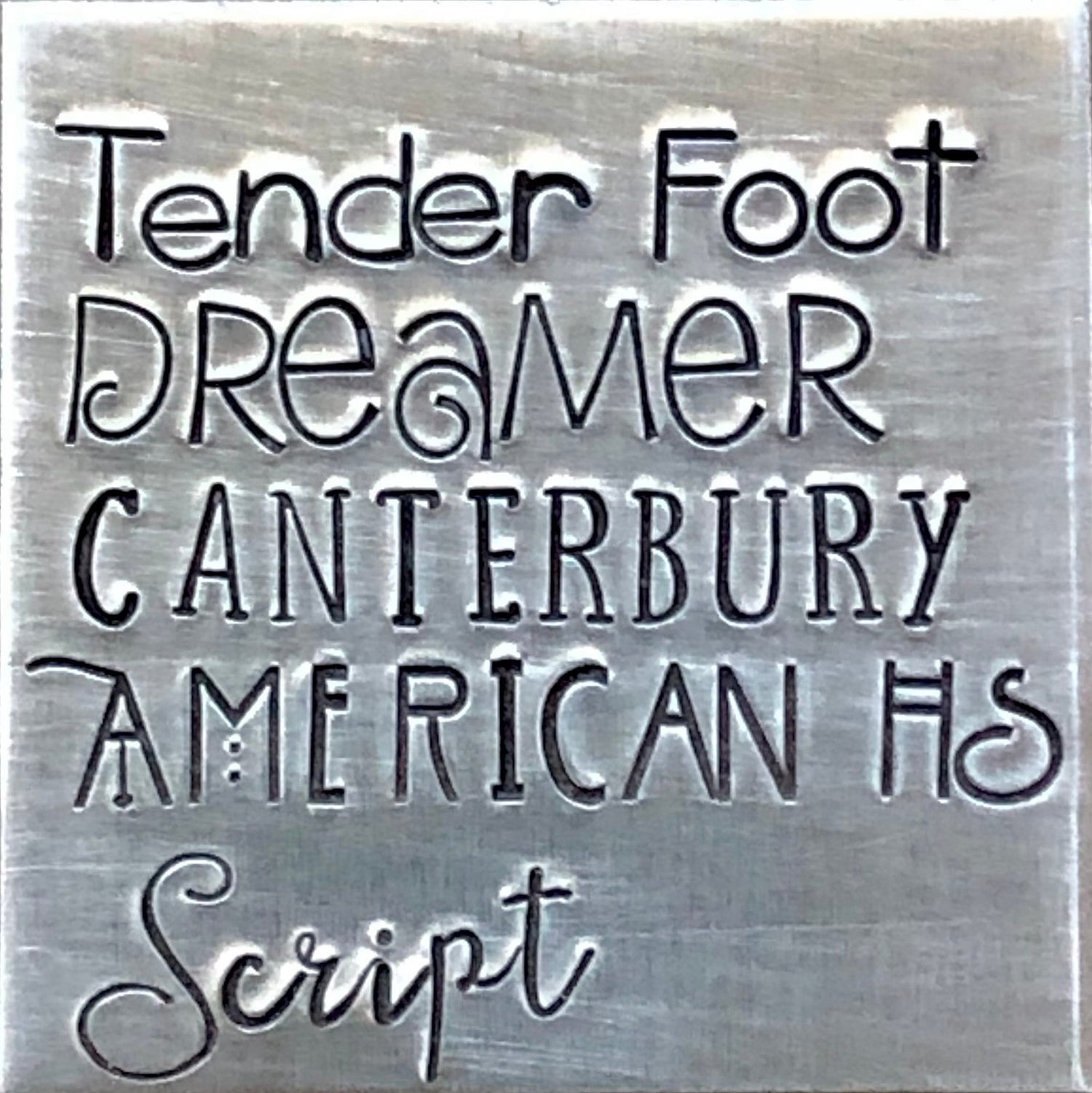 Desert Dog, Mojave, Sedona, Pet Id Tag with Cactus, Dog Tag with Desert Scene, mountains, moonShooting Stars, Milky Way Pet Tag for Collar