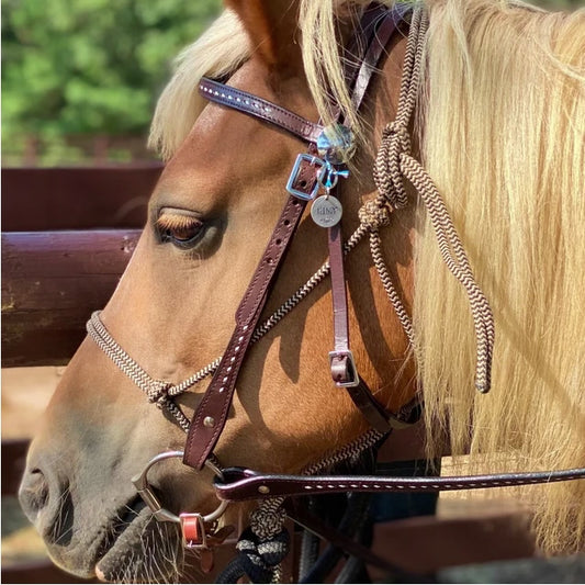 Custom Listing for Lydia