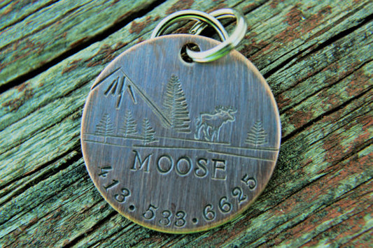 MOOSE