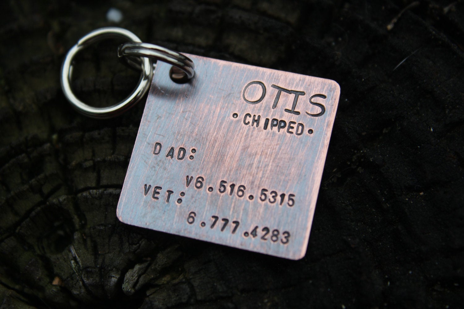 Custom Dog ID Tag, The Otis, Hand Stamped Dog Tag, Personalized Dog Tag