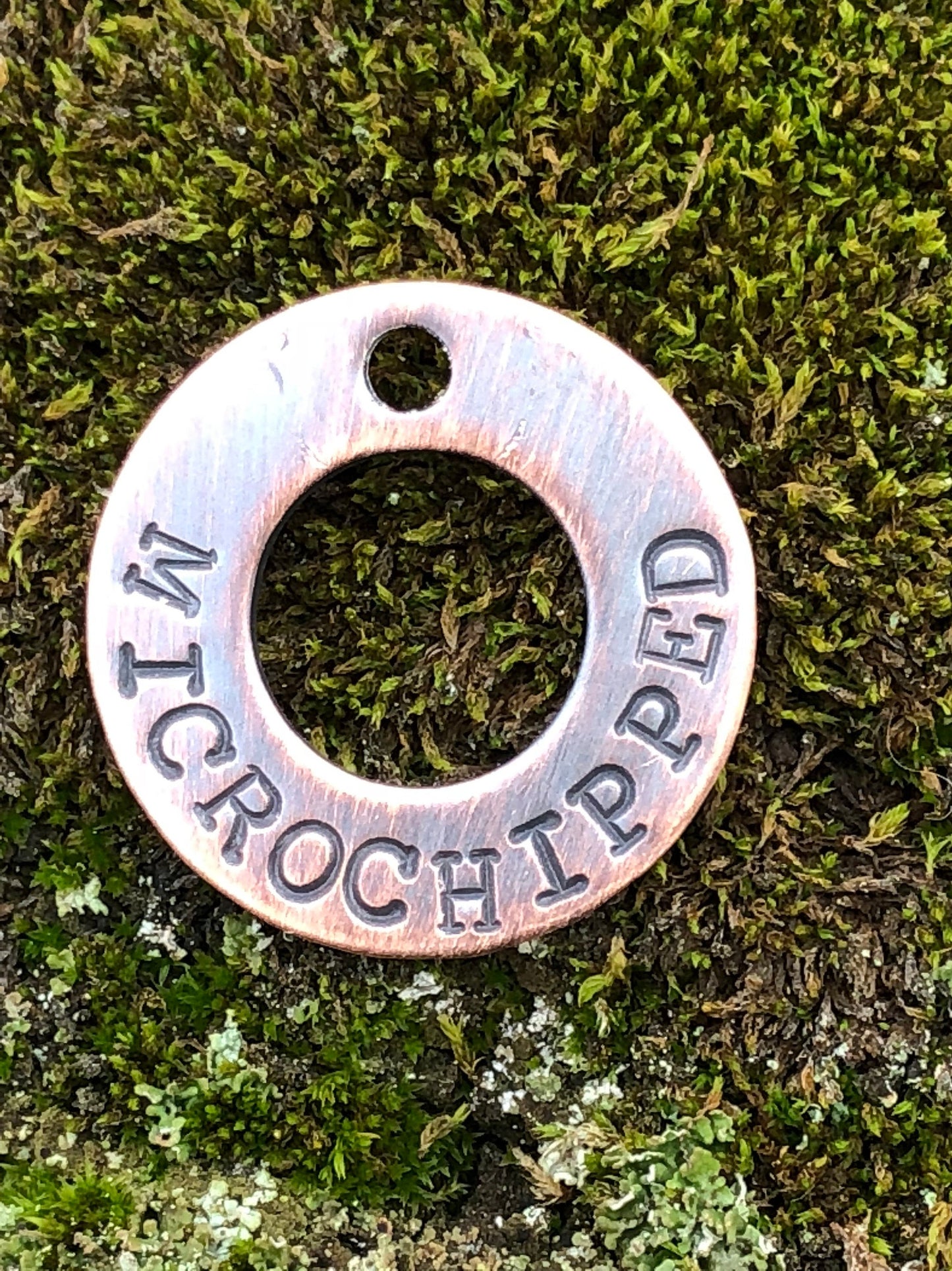 Microchipped Dog Tag, dog tag, microchip, pet tag, dog id tag, i&#39;m chipped, washer dog tag