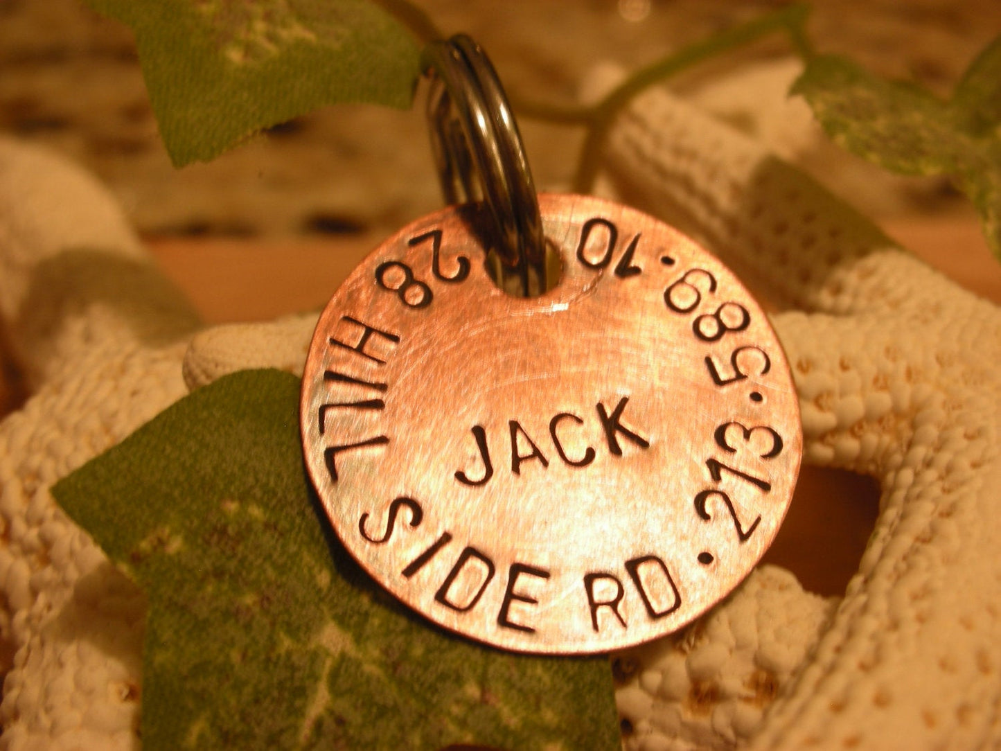 Copper Pet ID Tag - Just Jack